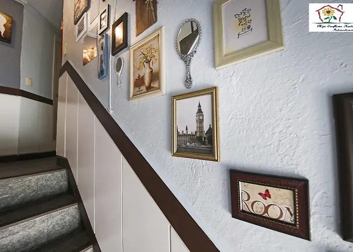 Auberge de jeunesse Miju *